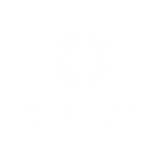 Photon